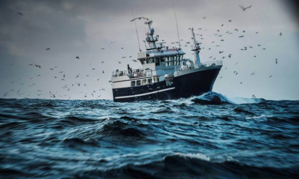 cómo es la pesca en Alaska