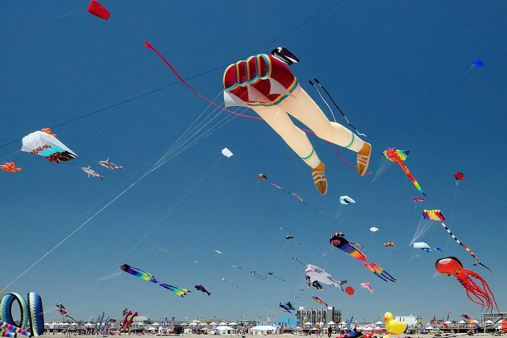 Festivales jersey