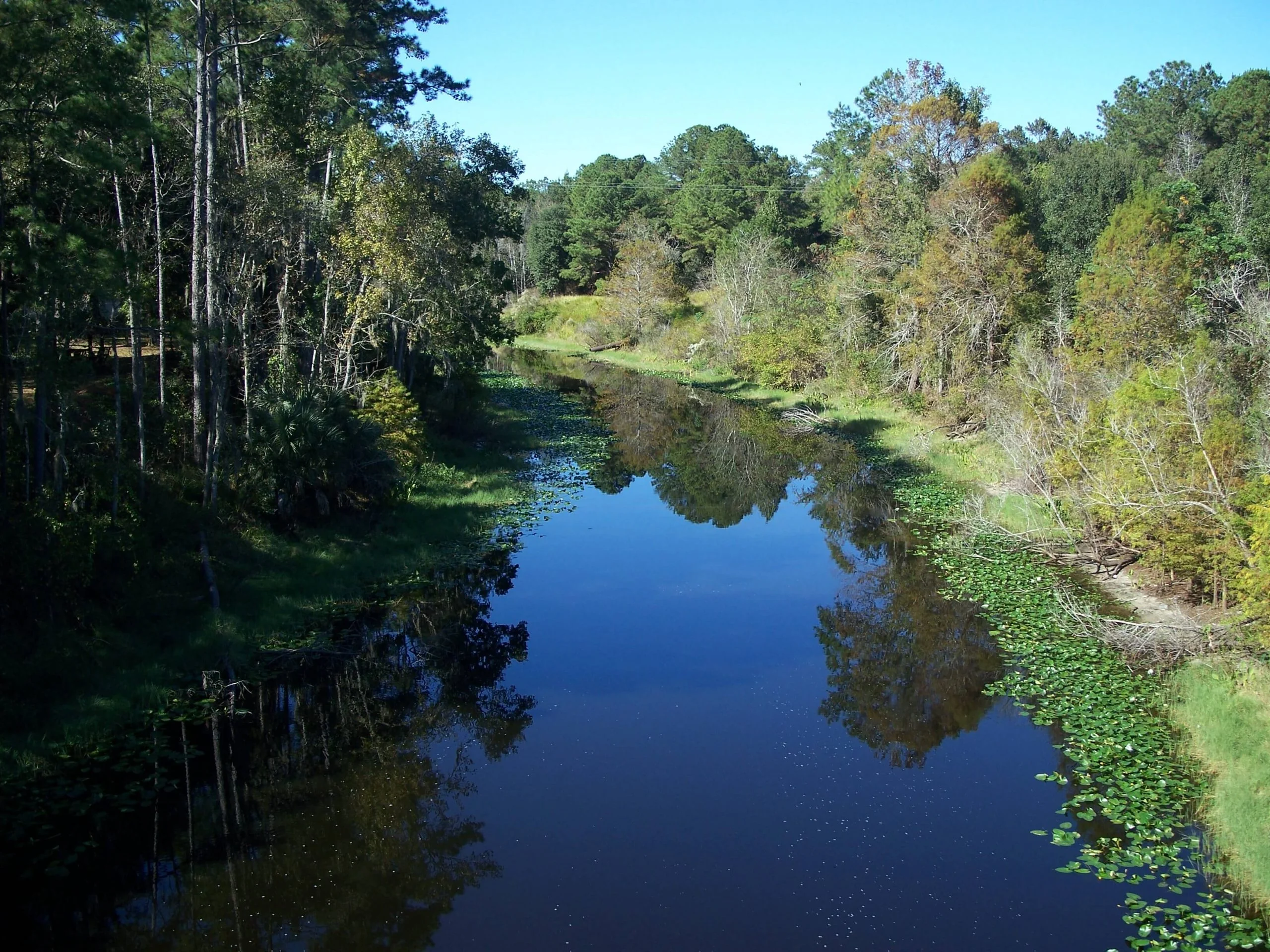Río Ocklawaha