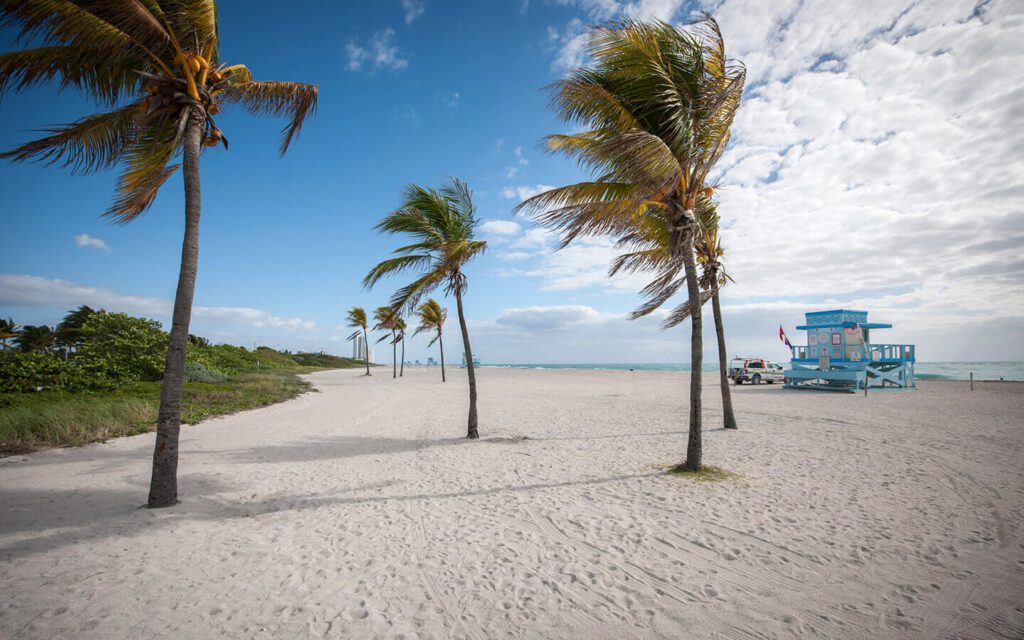 3 playas de Miami que aceptan perros