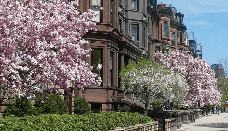 llᐈ ¿Cómo es vivir en Boston? – Trabajo, vida, clima, gente, etc...