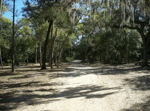 Parque Estatal de Tomoka