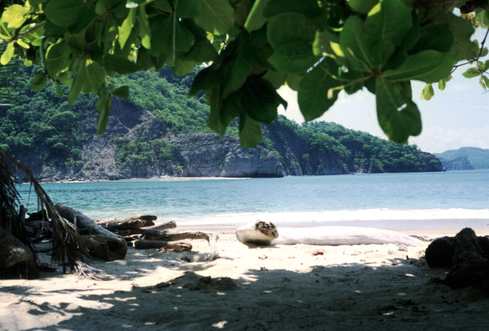 3 mejores playas de Costa Rica
