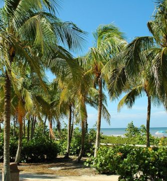 3 mejores playas de Key West