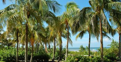 3 mejores playas de Key West