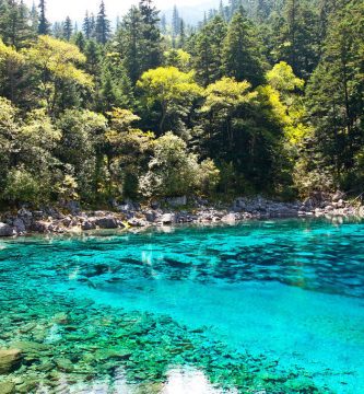 parques naturales de Orlando