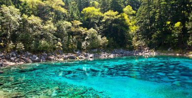 parques naturales de Orlando