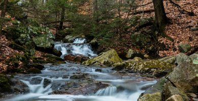 parques naturales en New Jersey