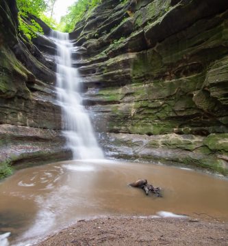 mejores parques naturales de Chicago