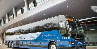 requisitos para viajar en Greyhound
