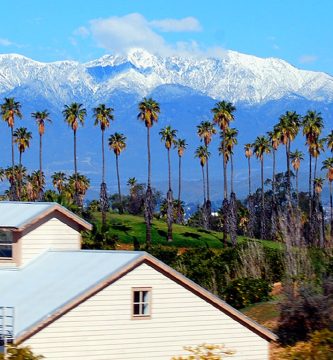 zonas de Jacksonville para vivir